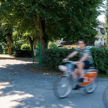 Das Wiesenhaus: Wohnen direkt am Rhein Köln Exterior foto